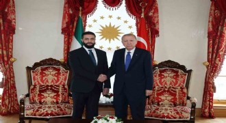 Erdoğan Şara ile görüştü